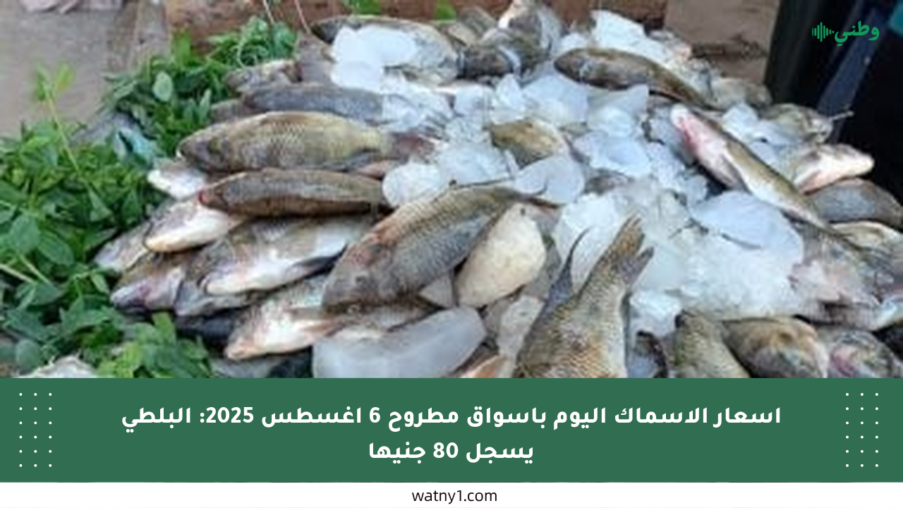 أسعار الأسماك اليوم بأسواق مطروح 6 أغسطس 2025: البلطى يسجل 80 جنيها